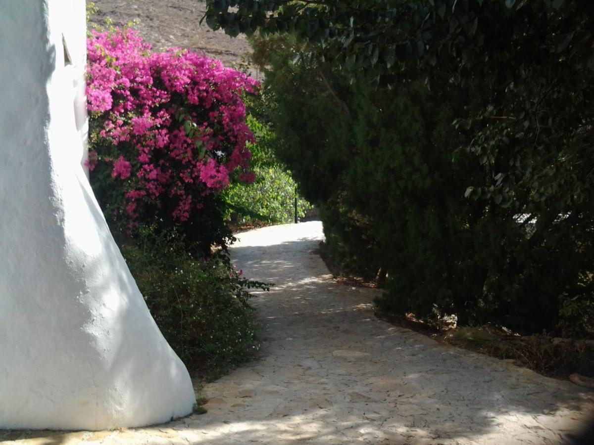Hotel Rural Cortijo La Alberca Níjar Exterior foto